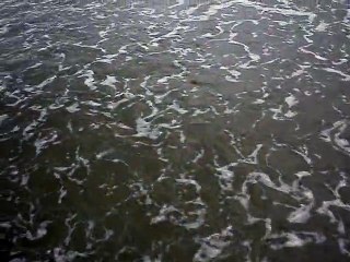 SHORT FILM - THE COVE BEACH IN UBATUBA – AMBROGI, MARCELO - PART (65)