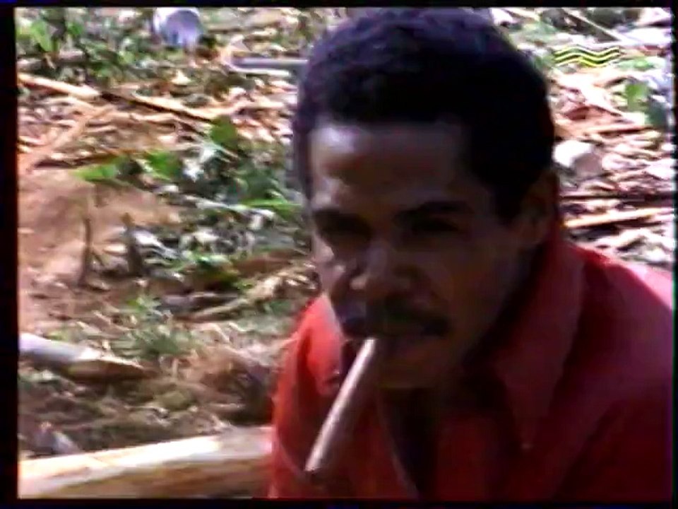 Jan Division - Cuba Cubana (Муз-ТВ, 2000)