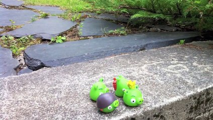 Angry Birds Stop Motion Animation