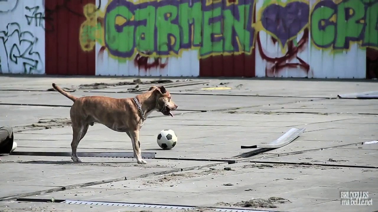 A tout moment la rue (Eiffel) -  Place du Congrès, Bruxelles