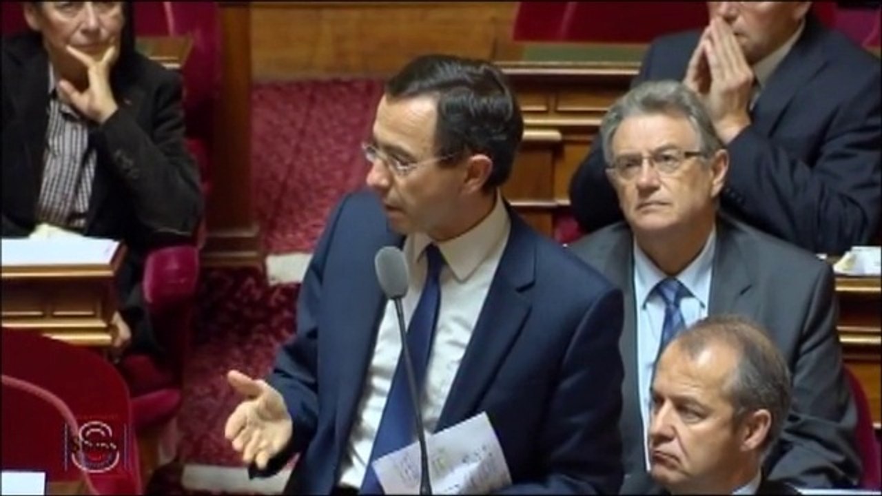 Bruno Retailleau : ' La réforme territoriale ne doit pas être un grand jardin à la française !  '