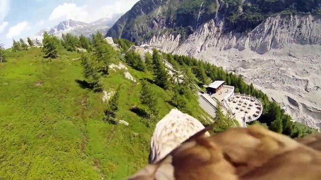 Le point de vue d'un aigle au dessus de Chamonix