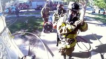 Un pompier sauve un chaton des flammes