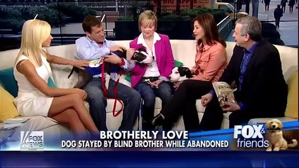 C'est l'histoire incroyable d'un chien aveugle et son frère