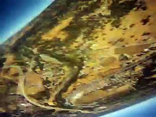 L'improbable rencontre entre un cochon et une Go Pro tombée d'un avion