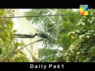 Sadqay Tumhare 4 HQ Part 6