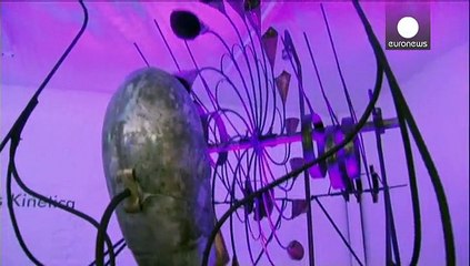 Жизнь - в движении