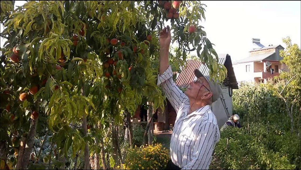ANDIRIN ŞİİRİ  ŞİİR YAZARI :Hacı  ÖZBENLİOĞLU