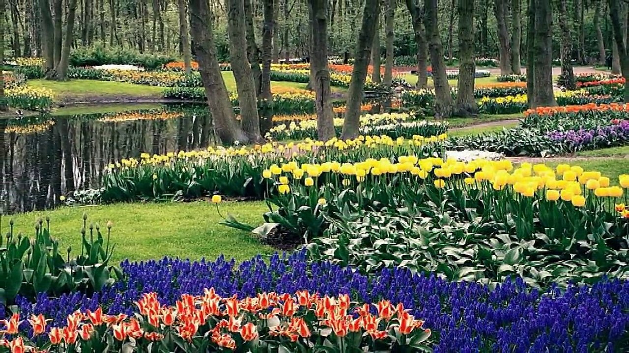 81 - Imágenes de relajación y música de paz total