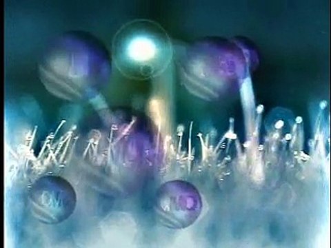 Finale : Le parcours de l'OM en Coupe de France