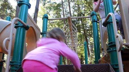 Ember Goes for a Walk - South Carolina October 2014