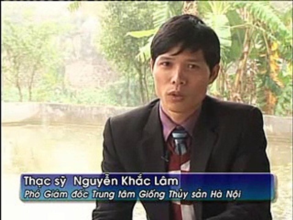Phòng bệnh cho cá