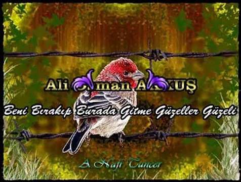 Ali Osman AKKUŞ *Beni Bırakıp Burada Gitme Güzeller Güzeli*