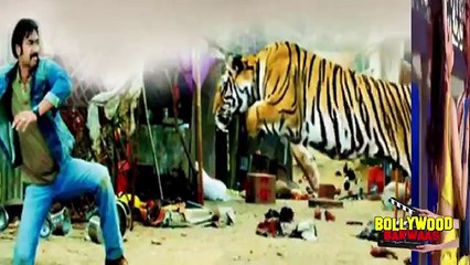 Humshakals Movie Preview   Saif Ali Khan, Bipasha Basu BY B2 video vines