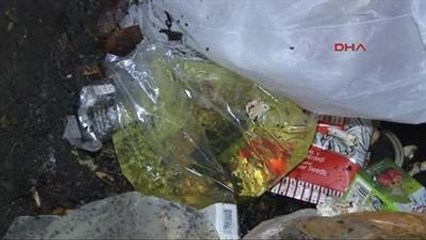 Beyoğlu'nda 5 Araç Kundaklandı