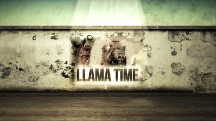 Llama Time - US intervention in Iraq and Syria