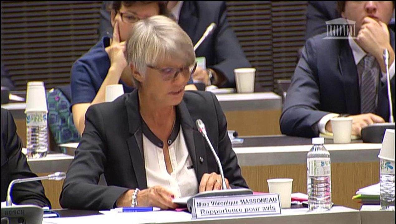 Budget (commission élargie) : Crédits 2015 : Égalité des territoires et logement  - Mercredi 29 Octobre 2014