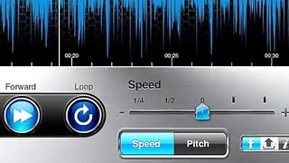 Riffmaster Pro   speed presets