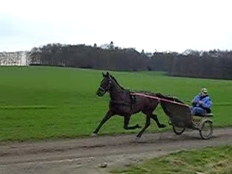 Vimoutier2