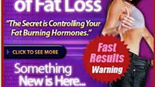 Fat Loss 4 Idiots - Diet Handbook