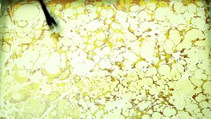 គំនូរ​លើទឹក​ជា​គំនិត​ឆ្នៃ​ប្រឌិត​ដ៏​គួរ​ឲ្យ​ស្ញើច