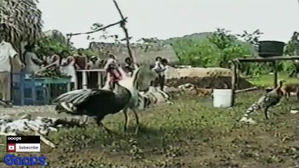 [+18 ~ Sexy Funny Girl]Pranks - Gags - Win - Fail.56