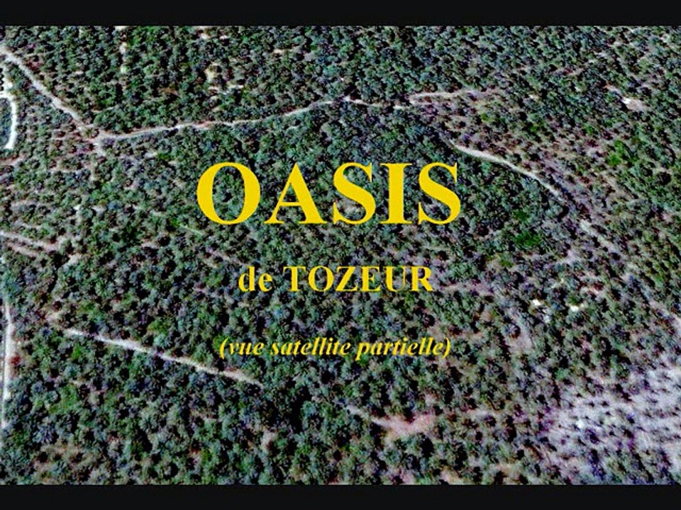 Tunisie 1974 (5) : "Tozeur, du folklore !"