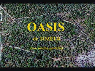 Tunisie 1974 : "Tozeur, l'oasis (4) Si Tijani et son zoo"