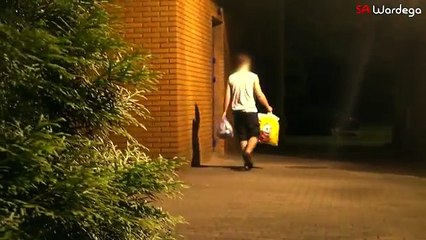 Örümcek elbisesi giydirilmiş köpek şakası