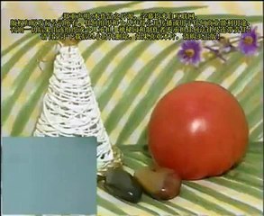 DIY 湘菜 (64) 四生片火锅