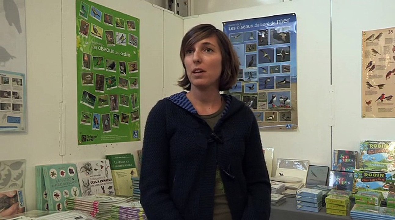 Reportage "Les exposants s'installent au FIFO"