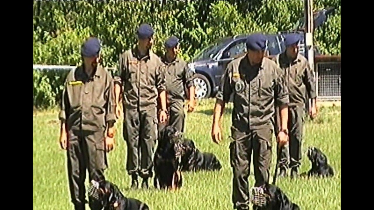 ROTTIPOWER @ 50-Jahrfeier Militärhundezentrum Kaisersteinbruch