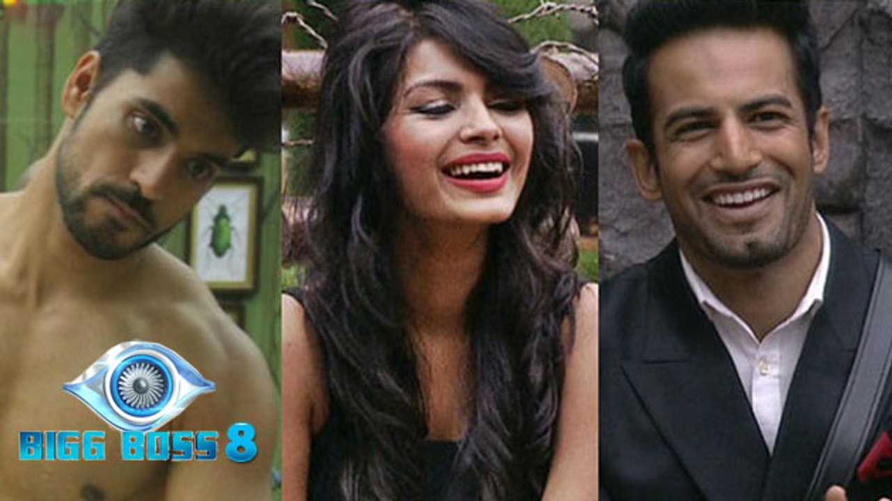 Bigg Boss 8: Upen & Sonali's RELATIONSHIP | Full Story