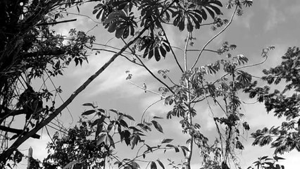 Trilha dos Falcões, Sasselos team, Pedal Matinal, Marcelo Ambrogi, (5)