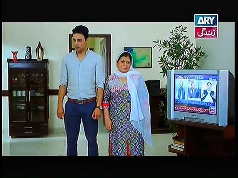 Bahu Begam Episode 81 on Ary Zindagi 1st November 2014 Full Episode