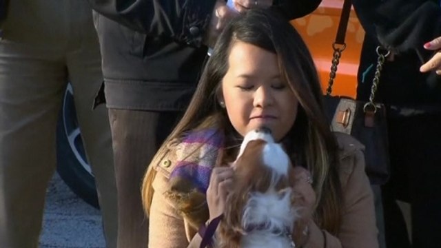 Dallas nurse reunited with with Ebola-free dog