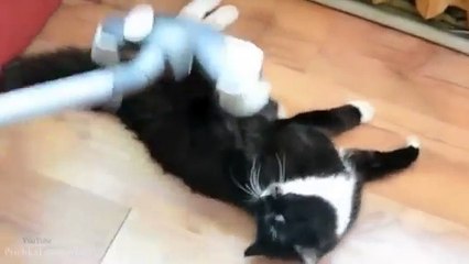 [+18 ~ Sexy Funny Girl]Pranks - Gags - Win - Fail.31
