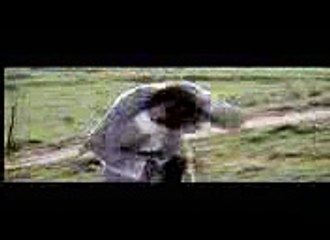 Amazing Kung Fu Cow Fight