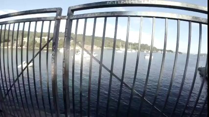 Köpekbalığına kafa atmak