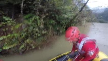 Gölete Düşen Karacayı Akut Ekibi Kurtardı