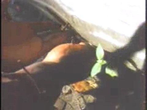 Naughty - Everythin gonna be alright