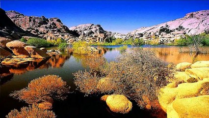 85 - Imágenes de relajación y música de paz total