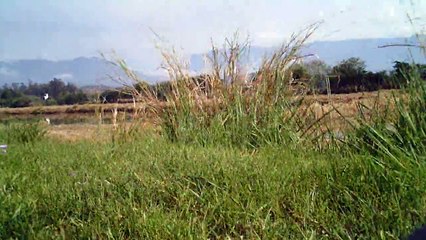 Trilha dos Falcões, Sasselos team, Pedal Matinal, Marcelo Ambrogi, (27)