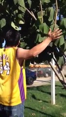 Airbending -Dancing with the trees (Aerokenisis)