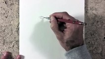 Karakalem Aslan Çizim Tekniği [Karakalem Çizim Sanatı]