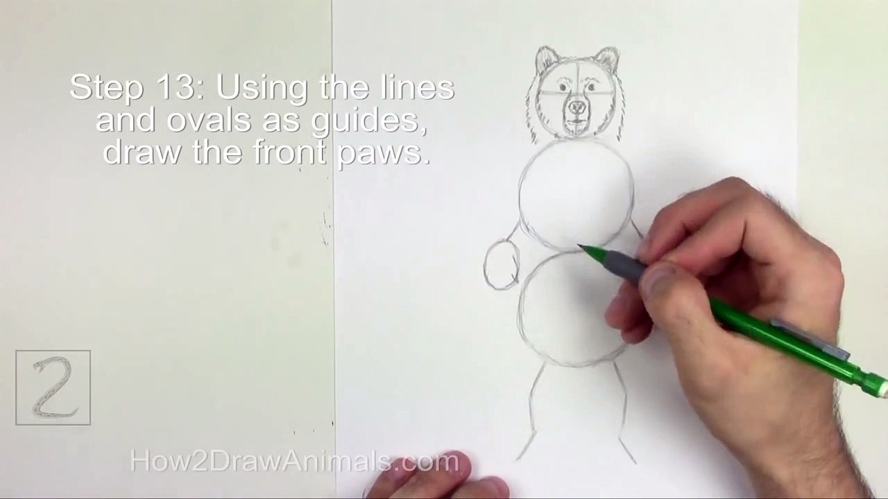 Karakalem Ayı Çizimi