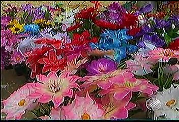 BLOGDOANDERSON.COM | BATV: Sábado, 1 de Novembro de 2014.