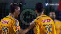 U.A.N.L.- Tigres 1-0 Querétaro بتاريخ 02/11/2014 - 01:00