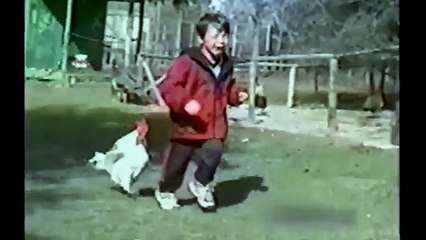 [+18 ~ Sexy Funny Girl]Angry Birds Compilation