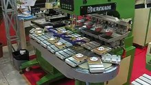 Pad Printing Machine Pad Printer